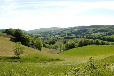 Une zone de moyenne montagne