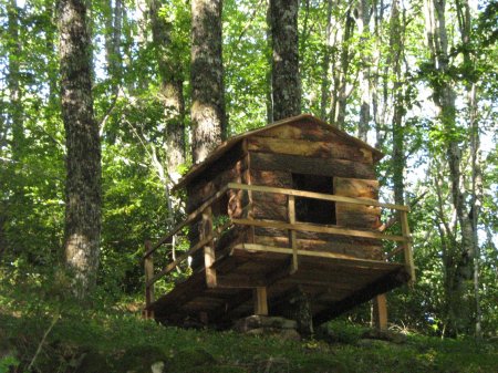 Tu veux t’amuser : cabanes sont dans les bois : à toi de les découvrir !